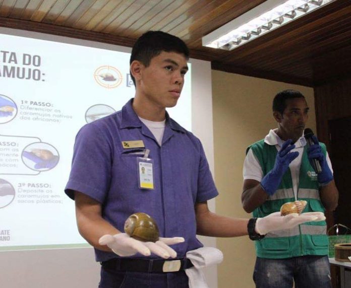 Combate ao caramujo africano é reforçado durante videoaula de projeto