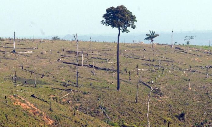 Bolsonaro prorroga presença das Forças Armadas na Amazônia Legal