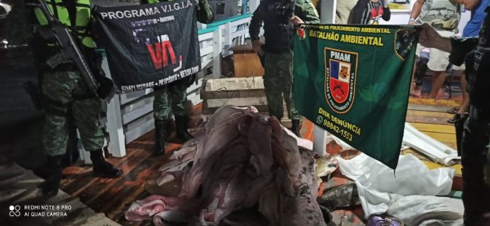 Carga ilegal de pescado e carne de animais silvestres é apreendida em embarcação