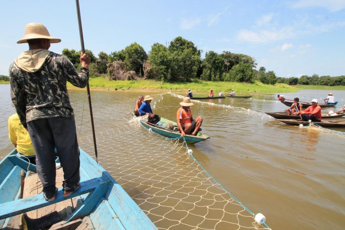 Financiamentos de crédito rural ultrapassam R$ 3,4 milhões no Amazonas