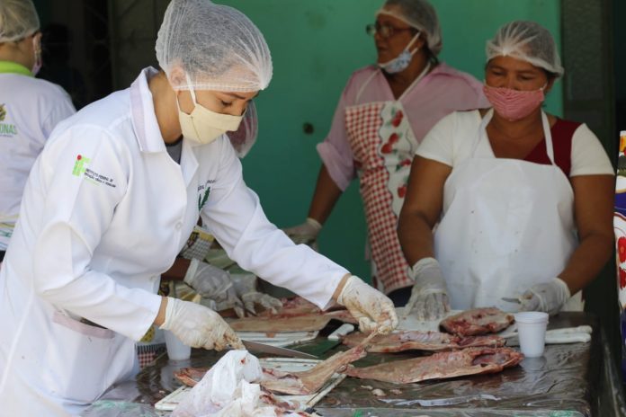 Pescadores do Careiro Castanho, Iranduba e Manacapuru recebem capacitação