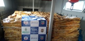 Base Arpão apreende 8,3 toneladas de pirarucu e carne de jacaré