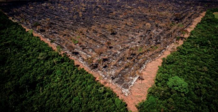 Força-Tarefa obtém bloqueio de R$ 570 milhões de desmatadores da Amazônia