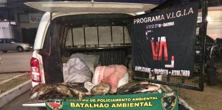 Pescado ilegal e quelônios são apreendidos na orla de Manaus