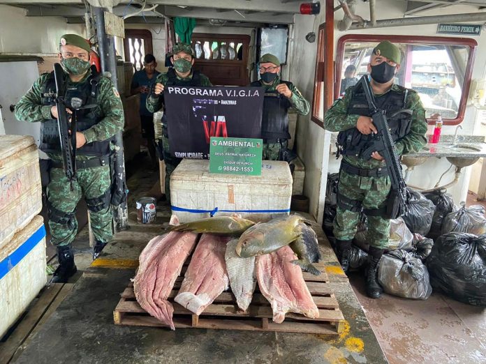 Cerca de duas toneladas de pescado ilegal são apreendidas no Porto de Manaus