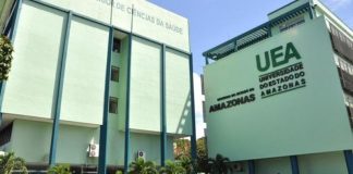 UEA prorroga inscrições da pós-graduação Amazon Rainforest Business