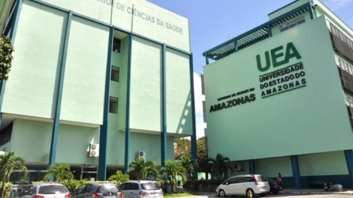 UEA prorroga inscrições da pós-graduação Amazon Rainforest Business