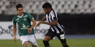 Goiás tenta vencer Botafogo para continuar na luta por permanência