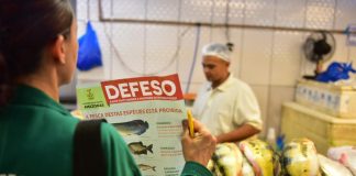 Ipaam informa que oito espécies de pescado sairão da restrição de pesca