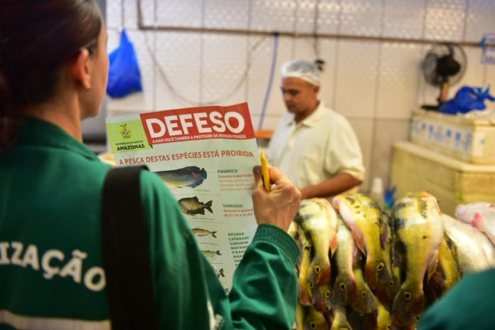 Ipaam informa que oito espécies de pescado sairão da restrição de pesca