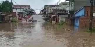 BRASIL LEVANTAMENTO / ÁREAS URBANIZADAS / BRASIL