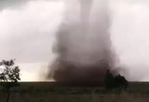 Moradores se assustam com tornado em área rural; veja vídeo