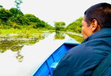 PC-AM prende envolvido em roubo a hotel de selva em Iranduba