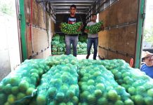 Secretaria de Educação abastece escolas com alimentos derivados da agricultura familiar