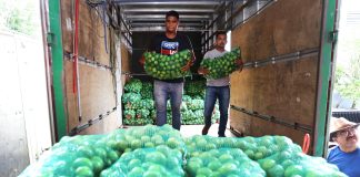 Secretaria de Educação abastece escolas com alimentos derivados da agricultura familiar