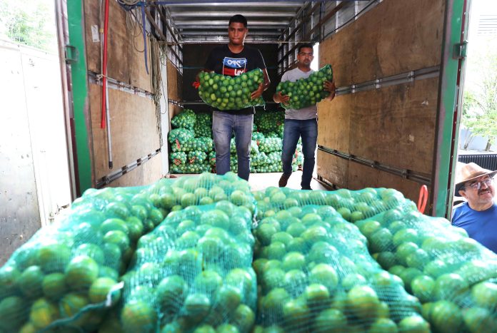 Secretaria de Educação abastece escolas com alimentos derivados da agricultura familiar