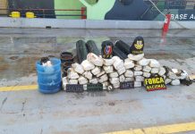 Com ajuda da cadela Havana, polícia encontra 60 kg de droga escondidos em cilindros de oxigênio