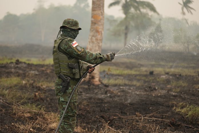 Polícia Militar do Amazonas realiza prisões por crimes ambientais